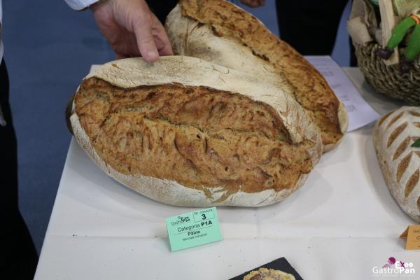 Locul-III---Paine-cu-bere---industrial