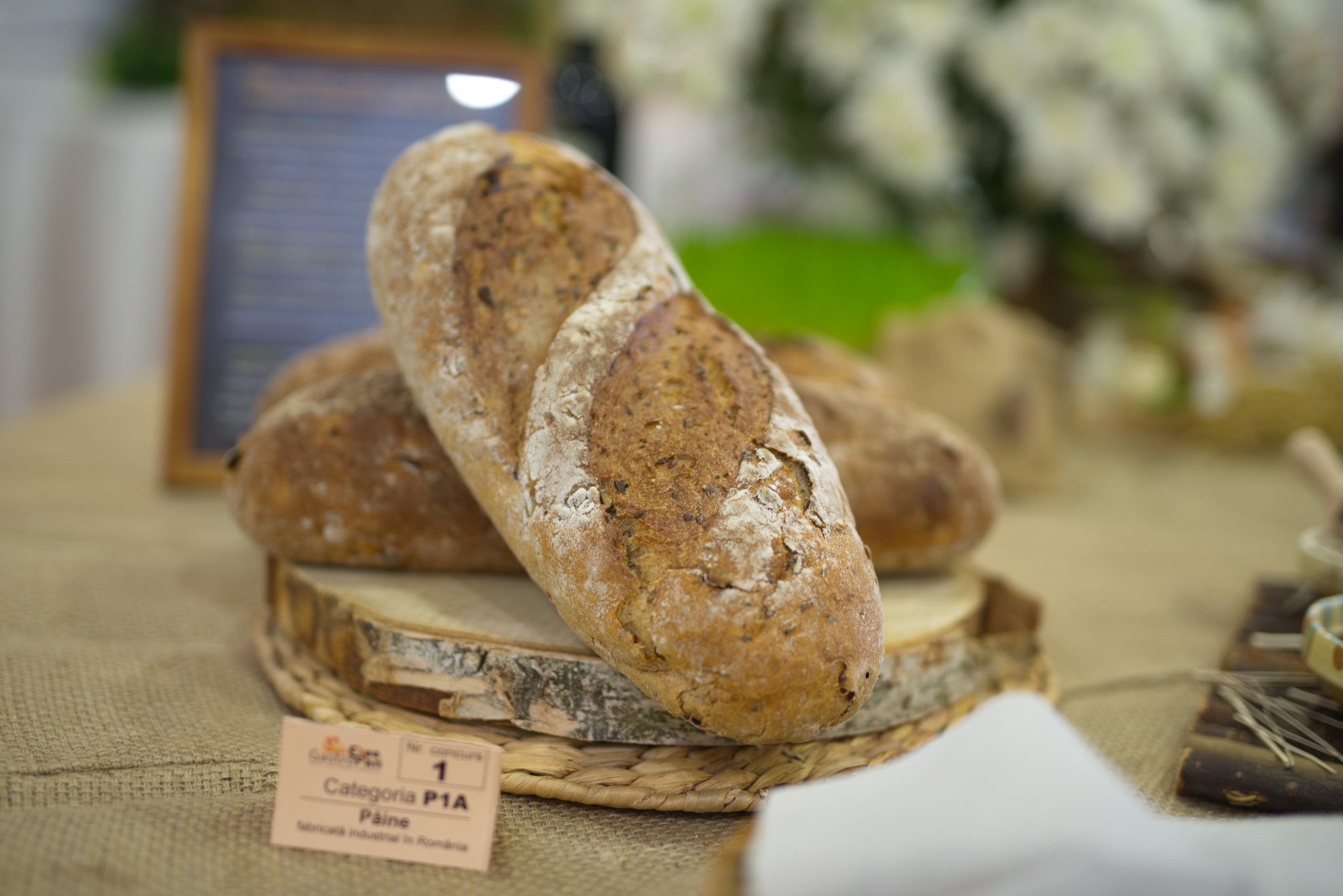 paine-industriala-loc1